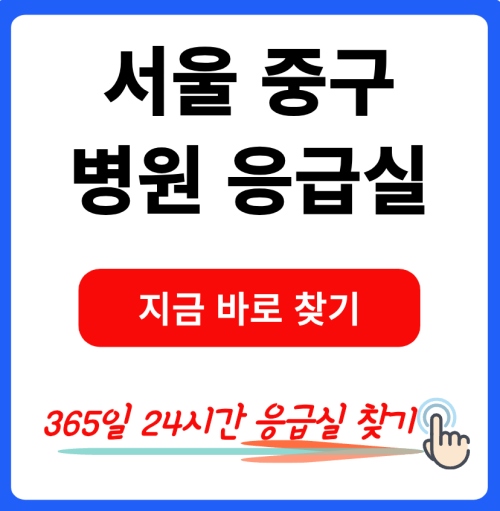 서울 중구 병원 응급실