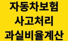 자동차보험 사고처리 과실 비율