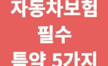 자동차보험 필수 특약