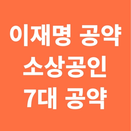 이재명 소상공인 공약