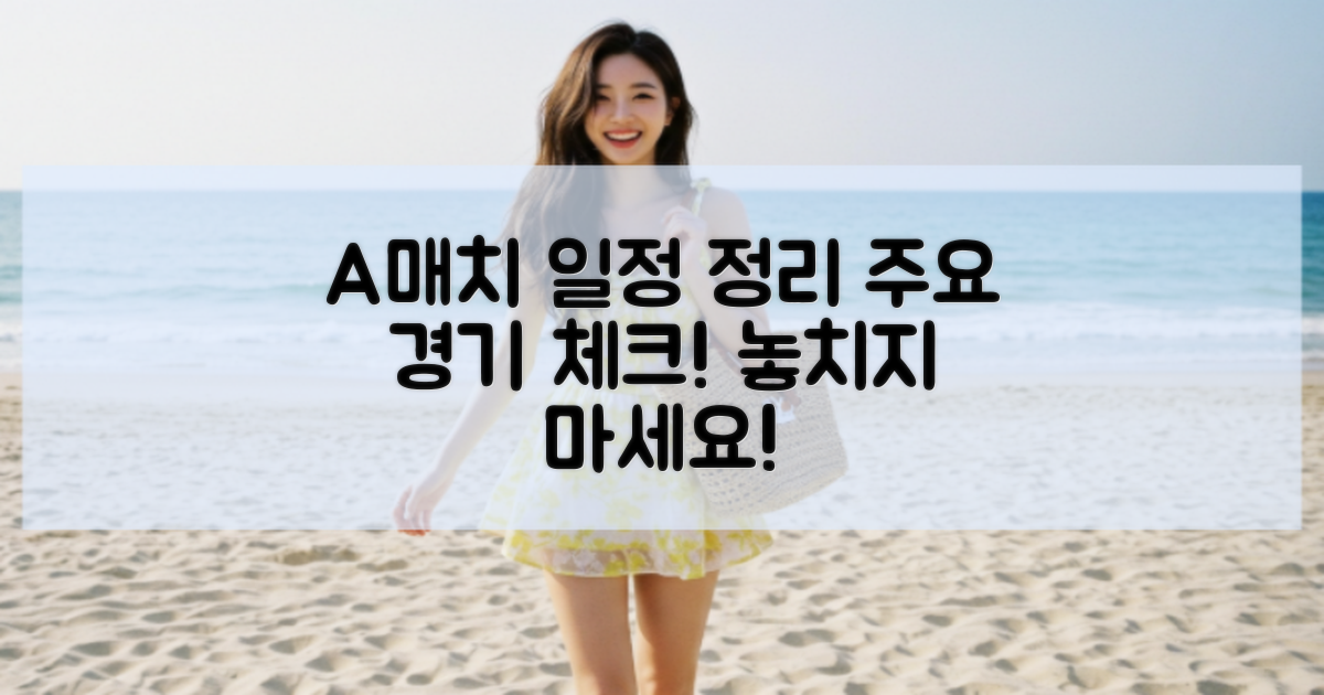 주요 A매치 일정 정리