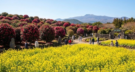 휴애리 자연생활공원 동백꽃과 유채꽃이 만발한 정원 풍경