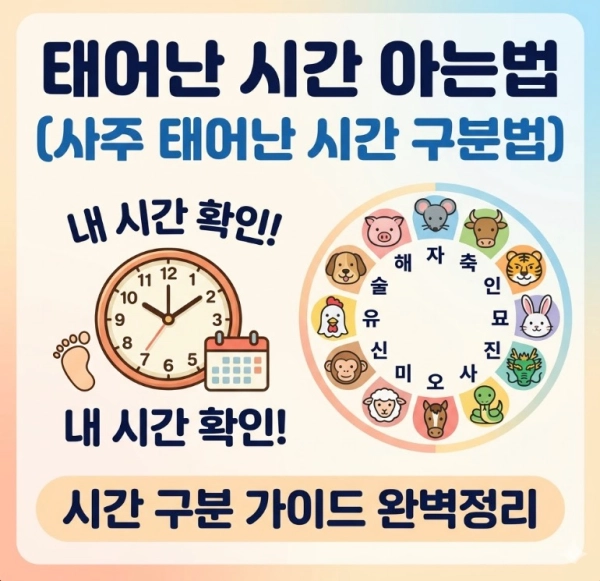 태어난 시간 아는법 및 사주 태어난 시간 구분법
