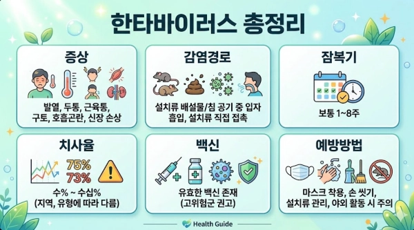 한타바이러스 증상 감염경로 잠복기 치사율 백신 예방방법
